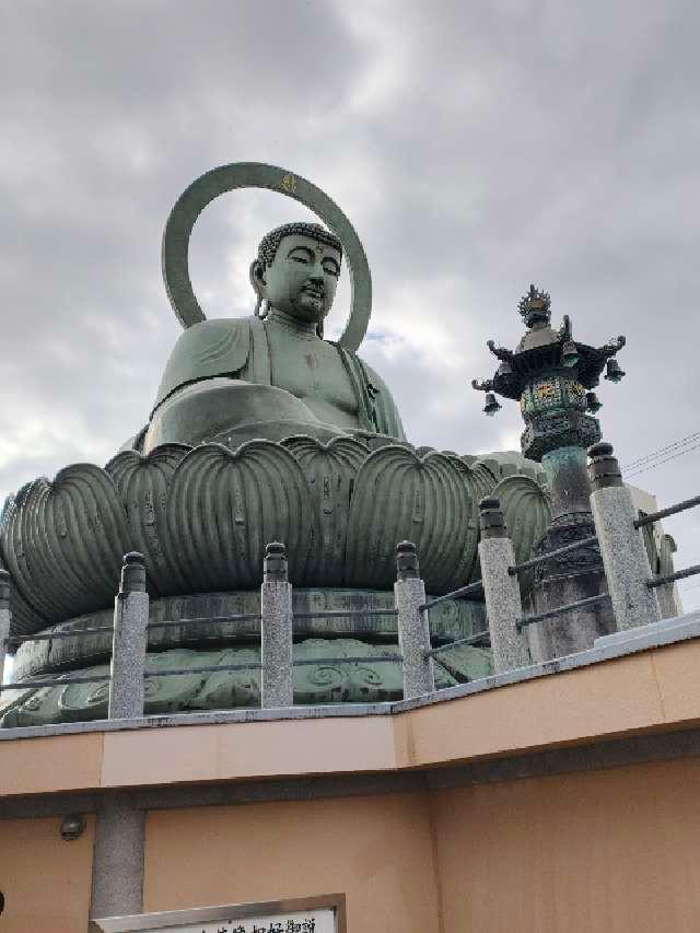 鳳徳山 大仏寺（高岡大仏）の参拝記録9