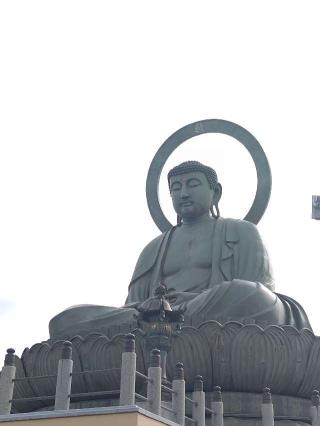 鳳徳山 大仏寺（高岡大仏）の参拝記録(おかやんさん)