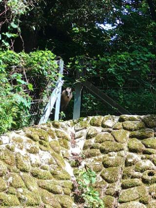 日石寺の参拝記録(沙沙貴　小次郎さん)