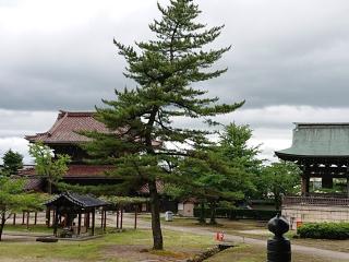 井波別院瑞泉寺の参拝記録(しゅんきちさん)