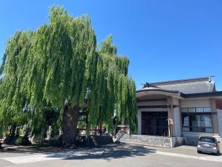 多善寺の参拝記録(MA-323さん)