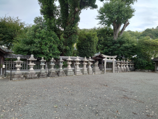 土丸春日神社の参拝記録2