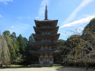 醍醐寺　五重塔の参拝記録(タクさん)