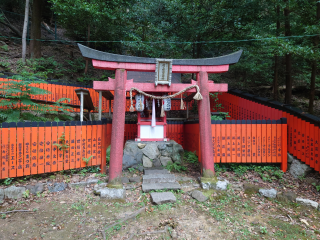 樹下稲荷大明神(八神社 境内社)の参拝記録3