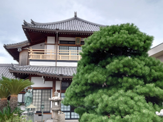 安松山 宝池院 浄蓮寺の参拝記録2