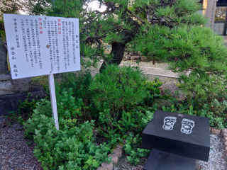 東福寺の参拝記録(らぶみい堂さん)