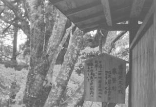 大光寺の参拝記録(らぶみい堂さん)