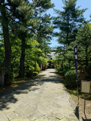 金龍山 天徳院の参拝記録(ヨッシーさん)