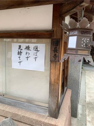 藤島山 円長寺の参拝記録(みかはるさん)