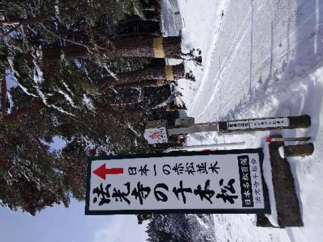 青森県三戸郡南部町法光寺字法光寺20 法光寺の写真4