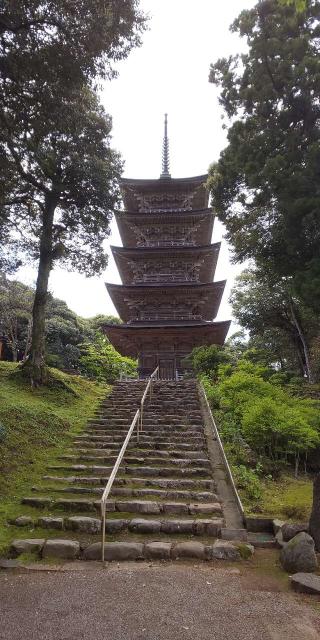 妙成寺の参拝記録(パスカルさん)