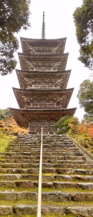 妙成寺の参拝記録(ペドロ蟲さん)