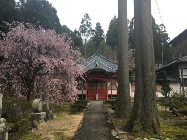 福井県越前市池泉町242 霊泉寺の写真2