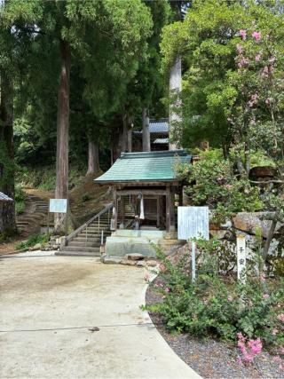 正高寺の参拝記録(こにたんさん)