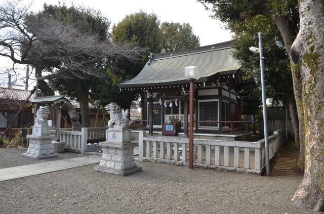 森野住吉神社の参拝記録(まきゆきさん)