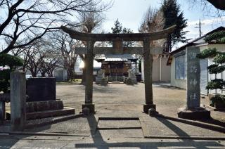 番田諏訪神社の参拝記録(まきゆきさん)