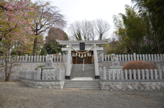 八坂神社（下九沢）の参拝記録(まきゆきさん)