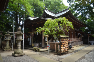 座間神社の参拝記録(まきゆきさん)