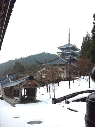 大師山　清大寺(越前大仏)の参拝記録(沙沙貴　小次郎さん)