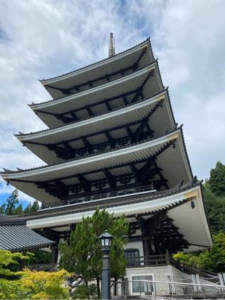 大師山　清大寺(越前大仏)の参拝記録(なんさん)