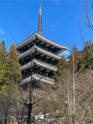 大師山　清大寺(越前大仏)の参拝記録(コウさん)