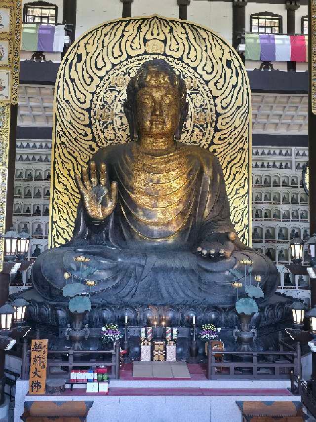 大師山　清大寺(越前大仏)の参拝記録1