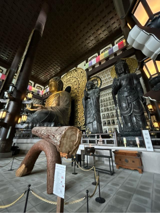 大師山　清大寺(越前大仏)の参拝記録2