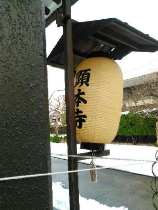 顕本寺の参拝記録(とらむぎさん)