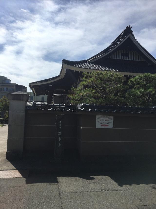 顕本寺の参拝記録2