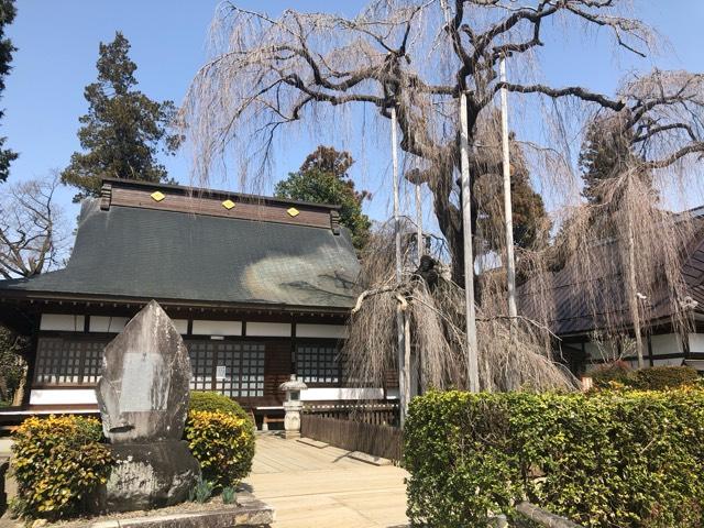 天龍山 慈雲寺の参拝記録3