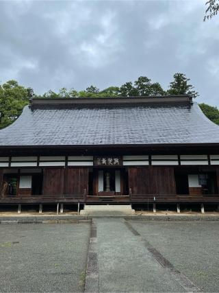 高橋山 放光寺の参拝記録(チップさん)