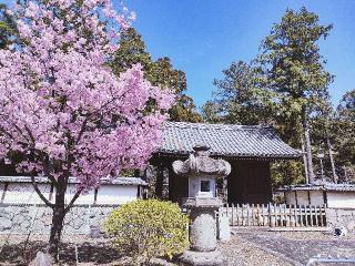 長禅寺の参拝記録(さとみさん)