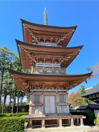 長禅寺の参拝記録(チップさん)