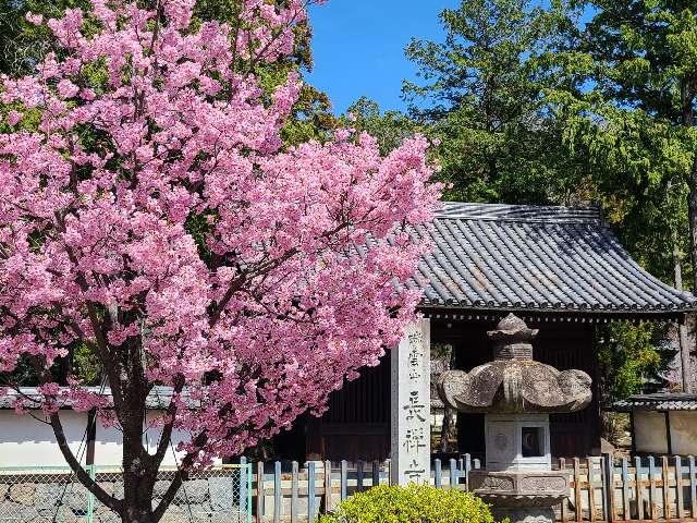 長禅寺の参拝記録5