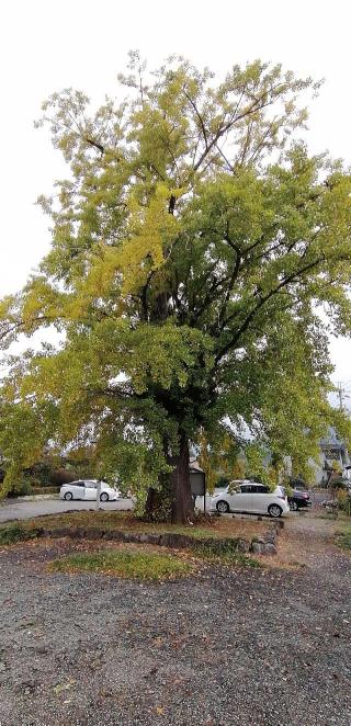 圓樂寺の参拝記録(さとみさん)