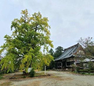 圓樂寺の参拝記録(たけちゃん⚾さん)
