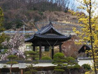 法蓋山 東光寺の参拝記録(さとみんさん)