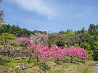 龍石山 永昌院の参拝記録(まっきーさん)
