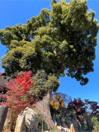 徳蔵山 妙楽寺の参拝記録(なっちゃんさん)