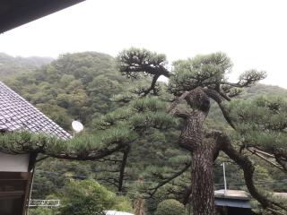 浄照寺の参拝記録(フェスばばあさん)