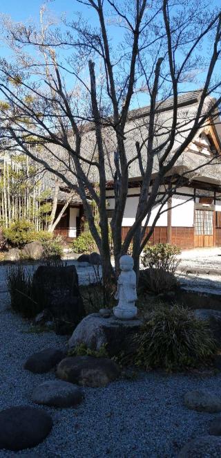 国分寺の参拝記録(さとみさん)