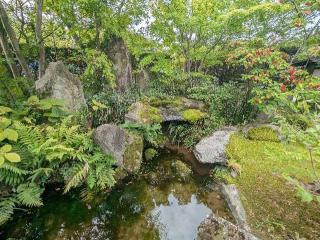 国分寺の参拝記録(こびのもぐらさん)