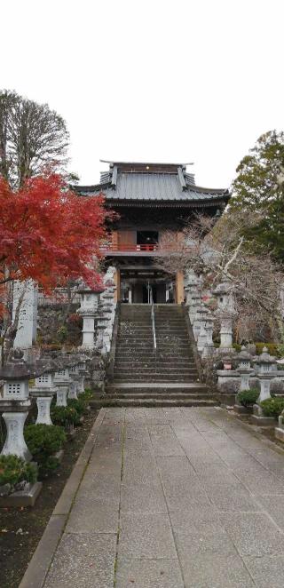 東圓寺の参拝記録(さとみさん)