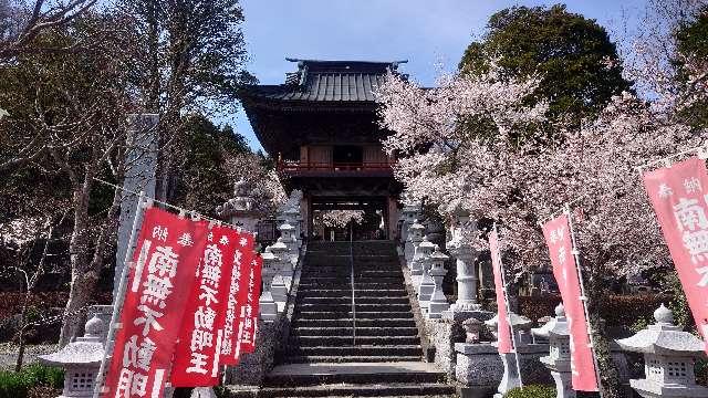 東圓寺の参拝記録3