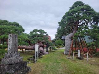 定栄山 遠照寺の参拝記録(まっきーさん)