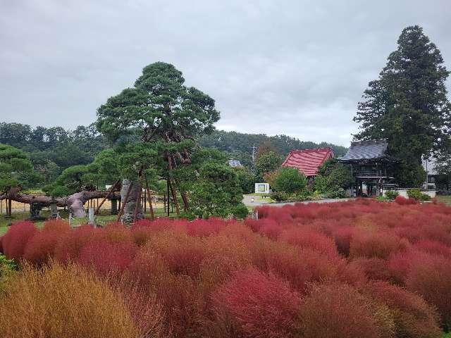 山梨県北杜市須玉町穴平2629 定栄山 遠照寺の写真3