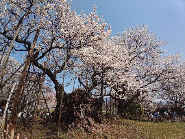 大津山 実相寺の参拝記録3