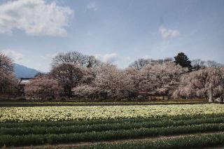 大津山 実相寺の参拝記録(軍畑先輩さん)