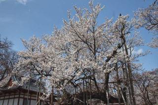 大津山 実相寺の参拝記録(軍畑先輩さん)