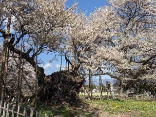 大津山 実相寺の参拝記録(ひろ坊さん)